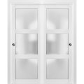 Sartodoors Closet Bypass Interior Door, 72" x 96", White LUCIA2552DBD-BEM-7296